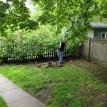 Spring clean up